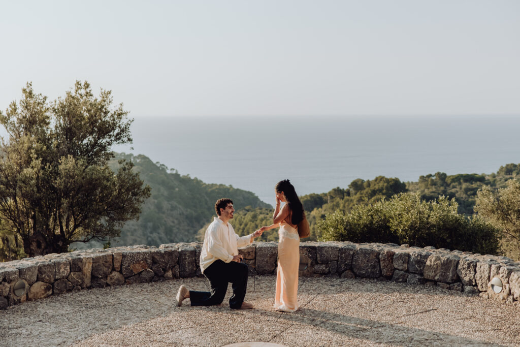Deia Mirador Surprise Proposal